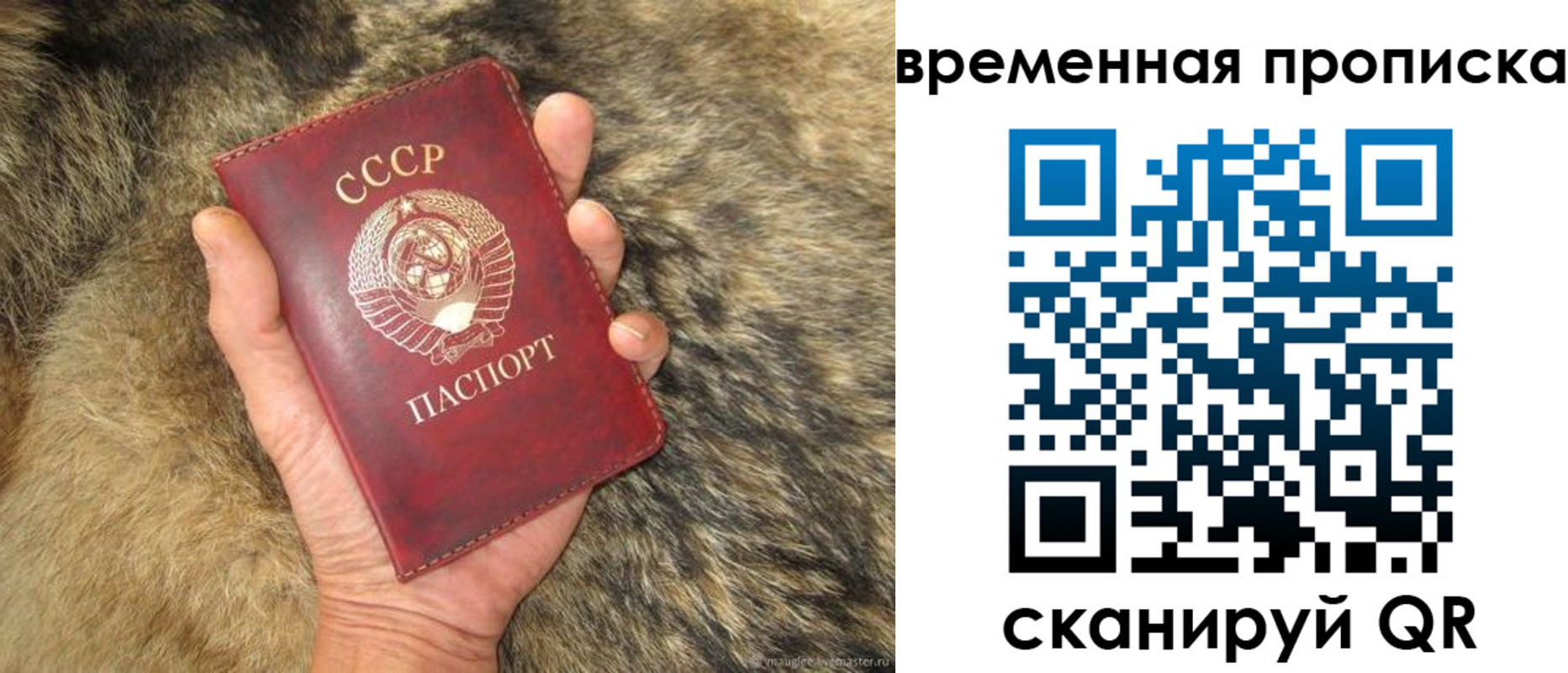 временная регистрация собственник в Рубцовске